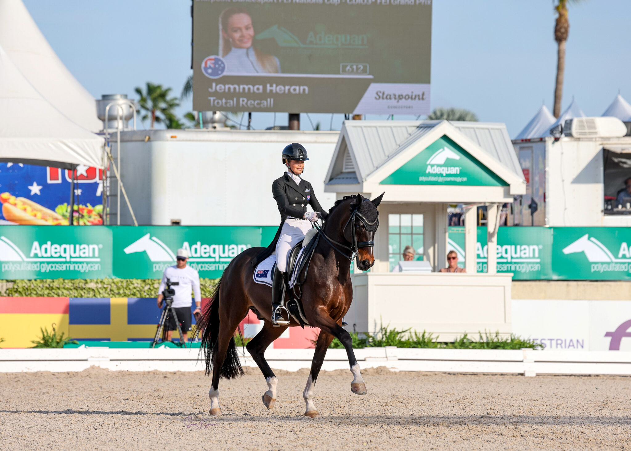 Equestrian Gold Coast Club | Dressage Queensland