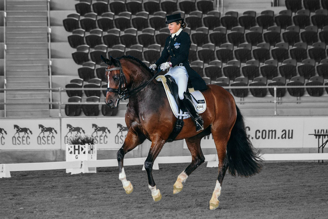 About DQ | Dressage Queensland About DQ | Dressage Queensland