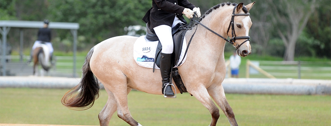 Qld Pony Dressage | Dressage Queensland Qld Pony Dressage | Dressage Queensland
