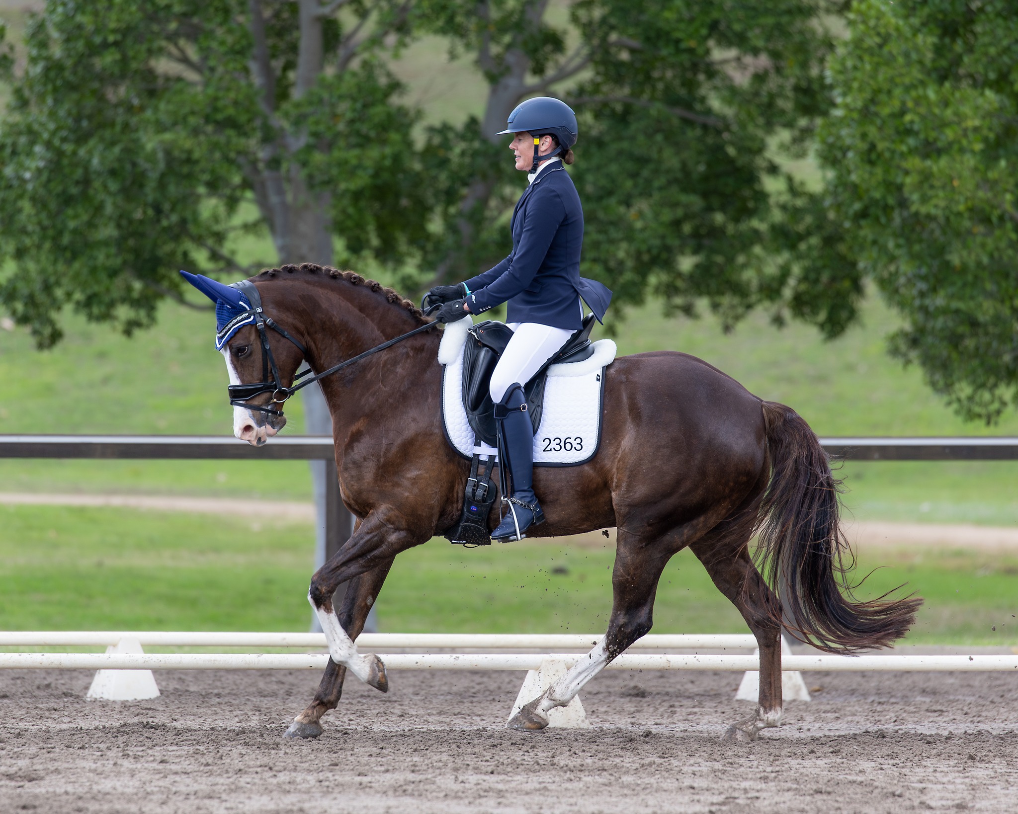2024 Australian Dressage Championships Queensland Success Equestrian