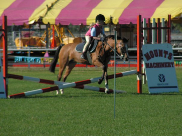 Jessie's first jumping cometition