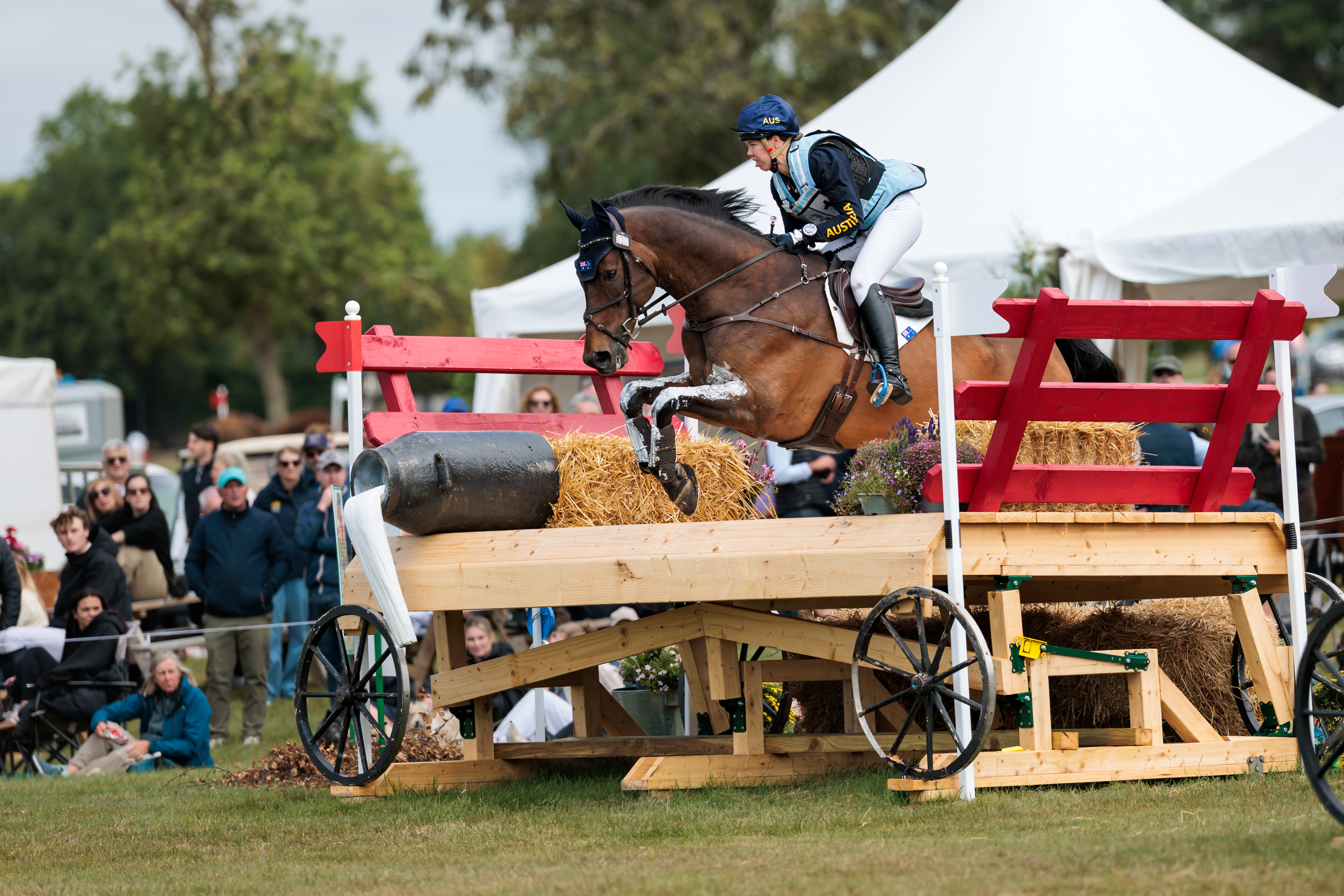 Bowen Show | Equestrian Queensland