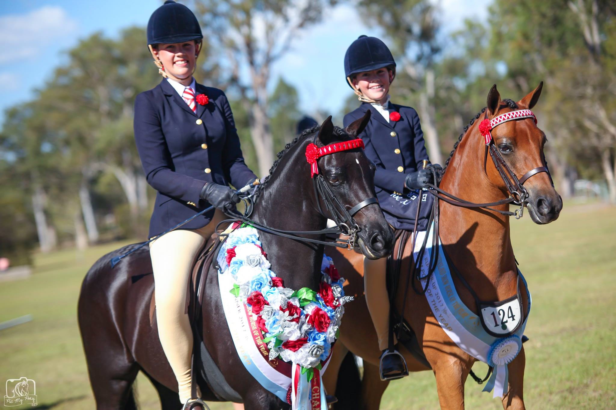Pryde's Easifeed Horse of the Year Equestrian Queensland