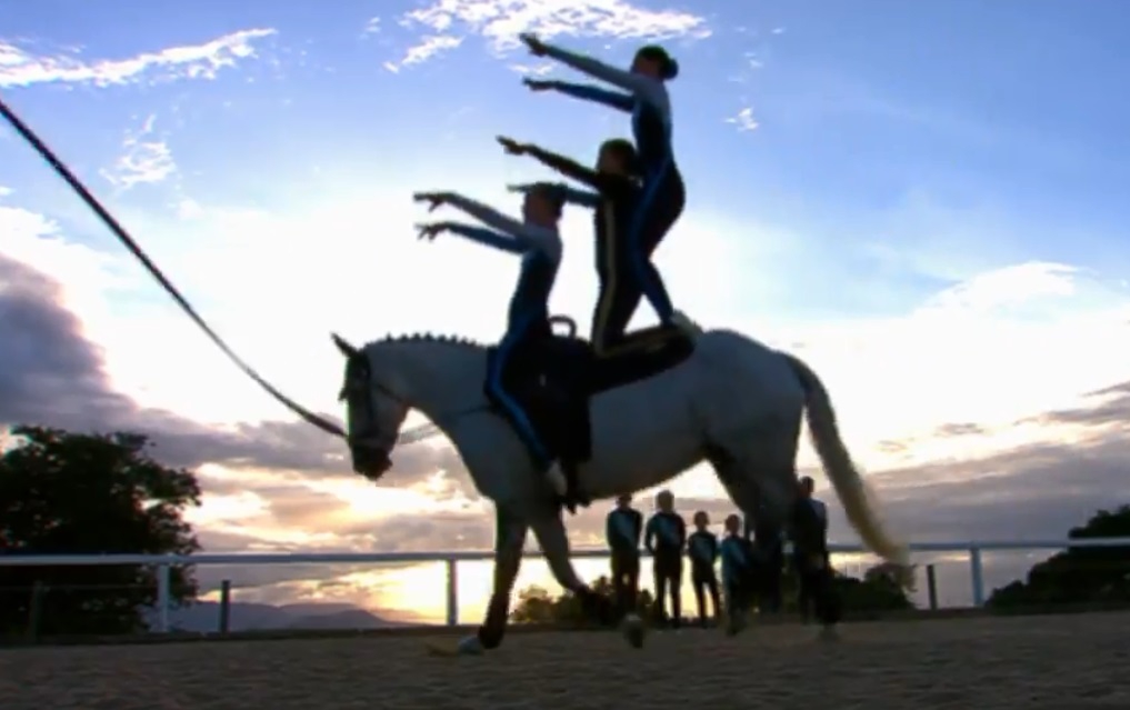 Watch Team Vaulting on Totally Wild Now! | Equestrian ...
